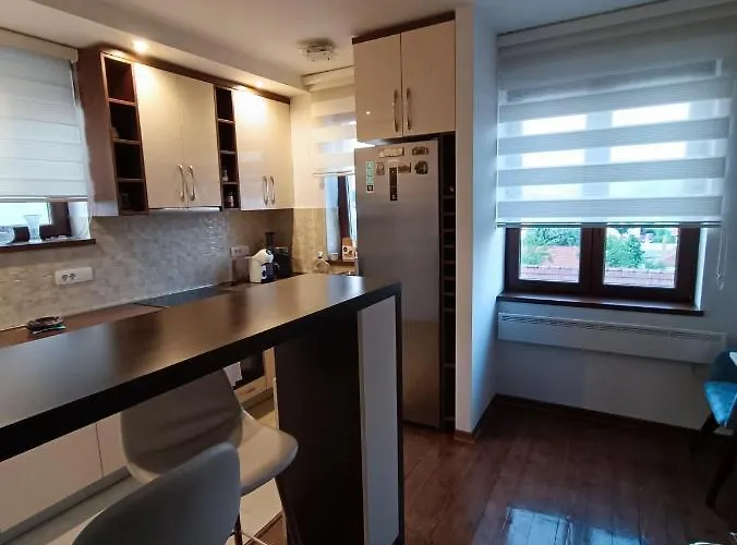 Leon ゴルニ・ミラノヴァツ